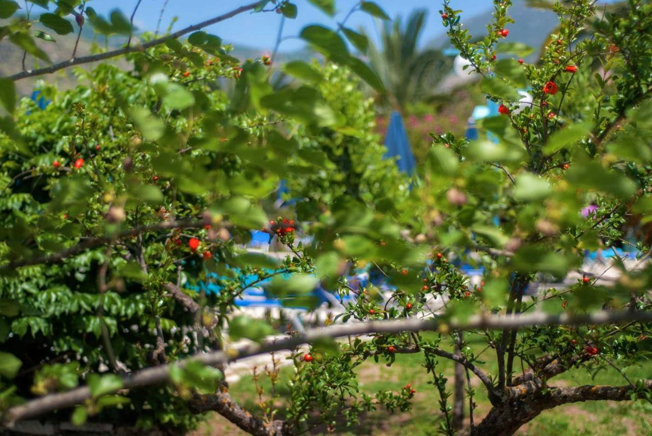 Efrosini Village Katelios Exteriér fotografie