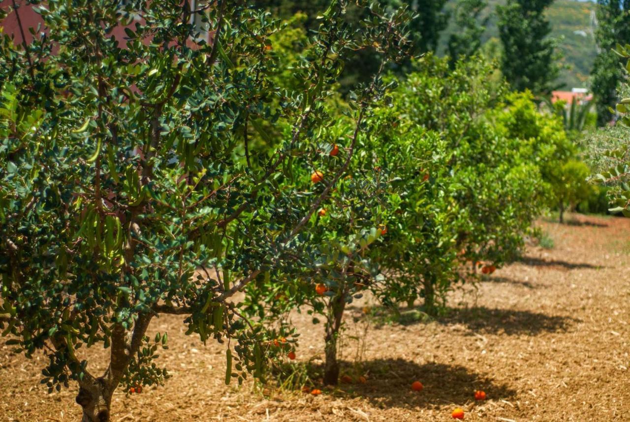 Efrosini Village Katelios Exteriér fotografie